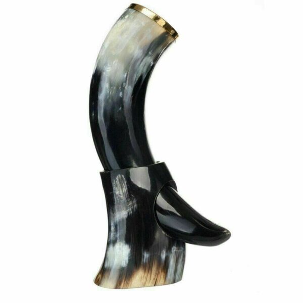Viking Drinking Horn With Horn Stand